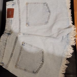 Zara Shorts